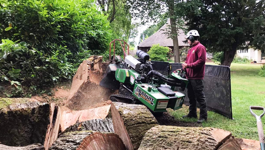 Why You Should Choose Professional Stump Grinding Services Over DIYWhy You Should Choose Professional Stump Grinding Services Over DIY