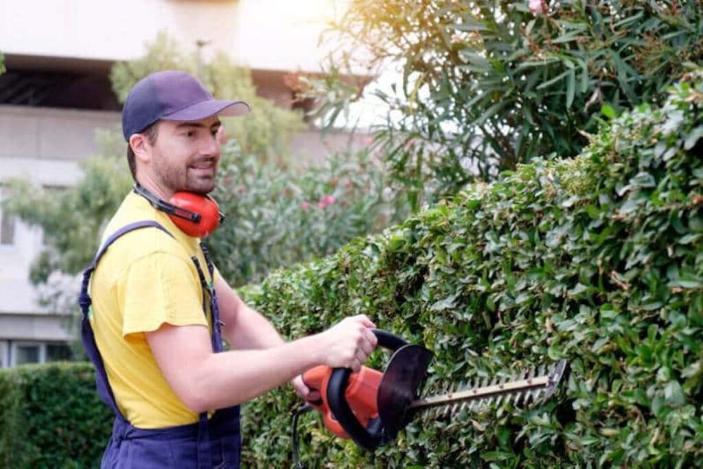 Commercial Hedge Trimming