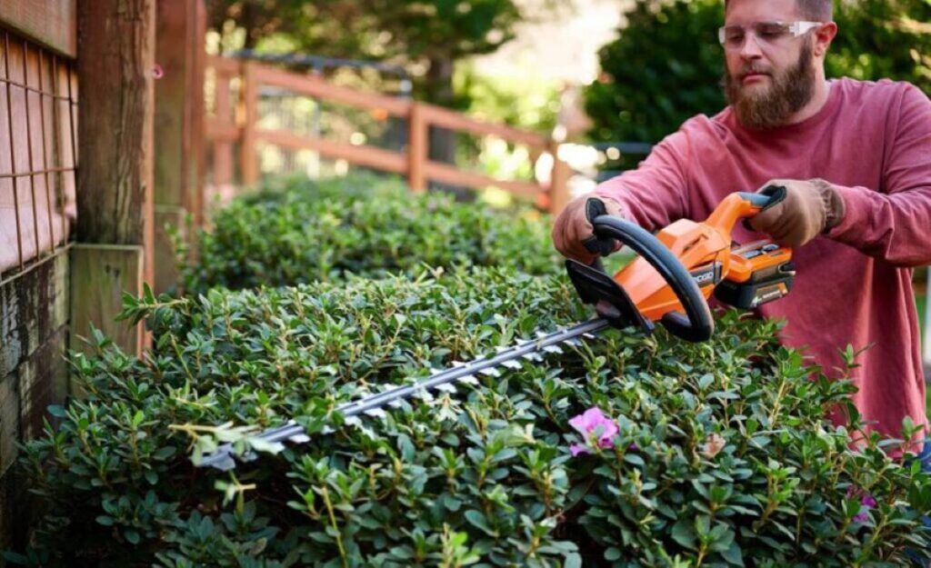 Commercial Hedge Trimming